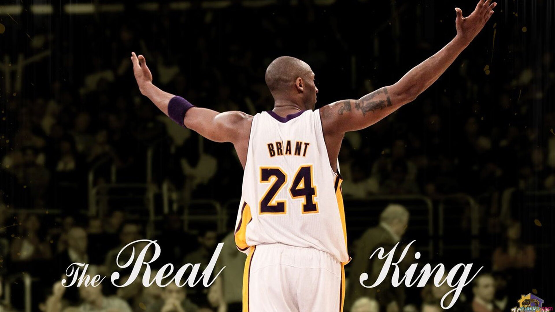 新奥尔良鹈鹕vs萨克拉门托国王